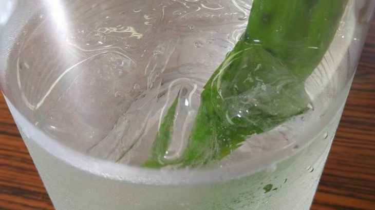 案山子の本町縁結びサワー