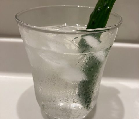長谷部さんの本町かっぱサワー