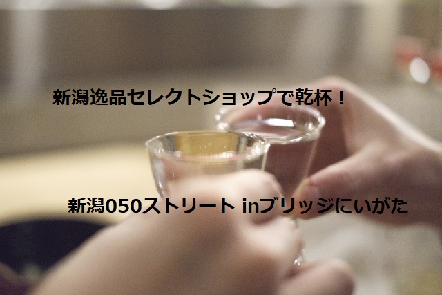 新潟050ストリートinブリッジにいがた