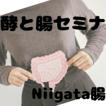 ～肌も腸もキレイに！～カンタン発酵調味料・ローション作りと腸活の話 by Niigata腸活部